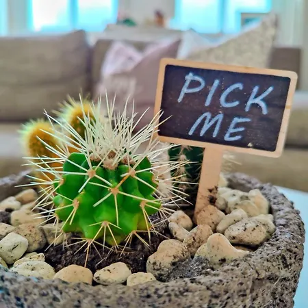 Apartamento Yourfavoritebed 100m2 Designwohnung Mit Vollausstattung *