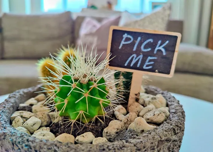 Apartment Yourfavoritebed 100m2 Designwohnung Mit Vollausstattung *